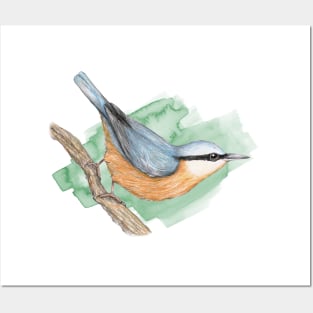 Nuthatch Posters and Art